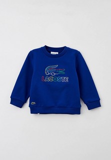 Свитшот Lacoste 