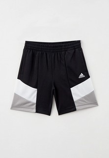 Шорты спортивные adidas 