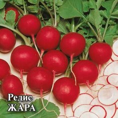 Семена Редиса жара б/п 0,1 г Без бренда