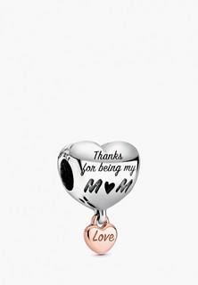 Шарм Pandora Moments (charm concept)