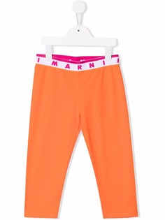 Marni Kids легинсы с логотипом