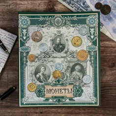 Альбом для монет на кольцах NO Brand