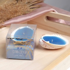 Свеча-ракушка NO Brand