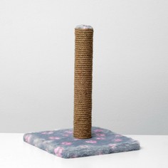 Когтеточка NO Brand