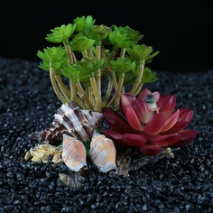 Островок с ракушками и растениями искусственными для аквариума, 12 х 11 х 9,5 см NO Brand