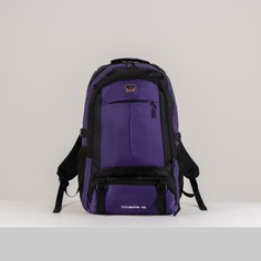 Рюкзак туристический, 40 л, отдел на молнии, 2 наружных кармана, цвет чёрный/фиолетовый NO Brand
