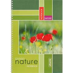 Общая тетрадь Attache