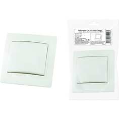 Одноклавишный выключатель TDM