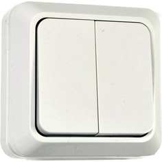 Двухклавишный выключатель Econ