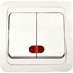 Двухклавишный выключатель Econ