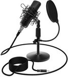 Студийный микрофон Ritmix RDM-175 Black