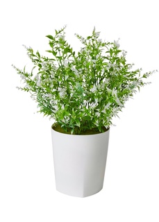 Искусственное растение в горшке Bonprix