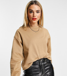 Oversized-свитшот бежевого цвета из органического хлопка от комплекта Selected Exclusive-Коричневый цвет