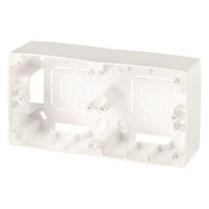 Коробка Эра Серия 12 12-6102-15 наклад. 2x пластик перламутр (упак.:1шт) ERA