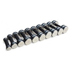Набор гантелей Smith Strength DB126 10гант. 55кг серый/черный