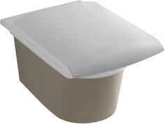 Подвесной унитаз с сиденьем микролифт Jacob Delafon Stillness E1303-00