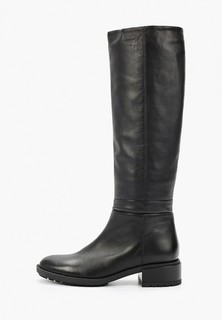 Сапоги Giorgio Fabiani 