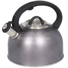 Чайник из нержавеющей стали Daniks MSY-075B со свистком, 3 л