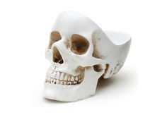 Органайзер для мелочей skull (suck uk) белый 12x16x21 см.