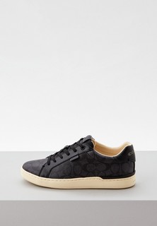 Кеды Coach 