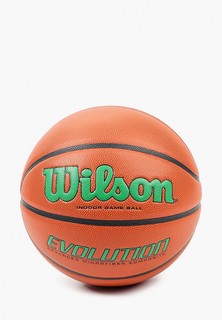Мяч баскетбольный Wilson BS EVOLUTION 295 GAME BALL GR