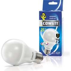 Светодиодная лампа ECOWATT