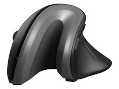 Мышь Trust Verro Ergonomic 23507