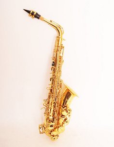 FLT-SAL Conductor