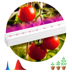 Подсветка для растений светильник ЭРА ФИТО для растений 14Вт LED IP20 сине-красный спектр белый ERA