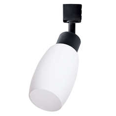 Светильники для трековых систем светильник трековый ARTE LAMP Mial 1x40Вт E14 металл пластик стекло черный