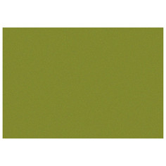 Шторы штора портьерная на шт.ленте FOR TO Cote Plage сатин 200х280см зеленая, арт.2005_5387