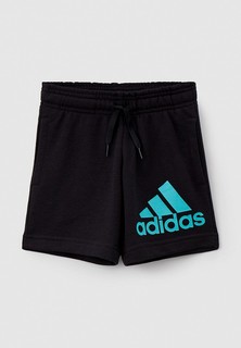 Шорты спортивные adidas 