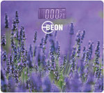 Весы напольные Beon BN-1102