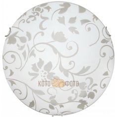 Настенно-потолочный светильник Arte lamp Ornament A4120PL-2CC