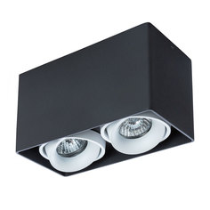 Светильник подвесной Arte Lamp Pictor A5654PL-2BK
