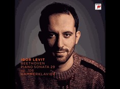 Виниловая пластинка Levit, Igor, Beethoven: Piano Sonata No. 29 In B-Flat Major, Op. (0190759695814) Sony Music Classic