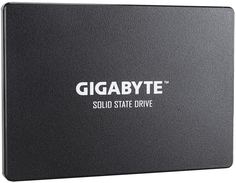 Накопитель SSD GigaByte 256Gb (GP-GSTFS31256GTND)
