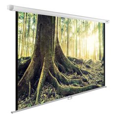 Экран настенно-потолочный Cactus WallExpert CS-PSWE-220X220-WT