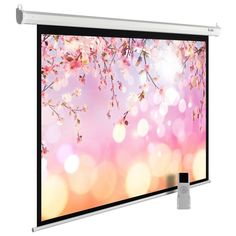 Экран настенно-потолочный Cactus MotoExpert CS-PSME-220X220-WT белый