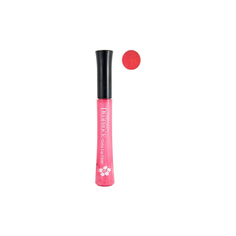 Блеск для губ Premium Deoproce Color Lip Gloss 10ml #27