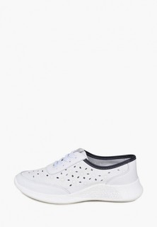 Кроссовки Alessio Nesca 