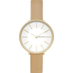 Наручные часы Skagen SKW2722