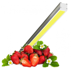 Светодиодный светильник Протон Proton