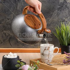 Чайник из нержавеющей стали Daniks DSC-8799 серый со свистком, 3 л