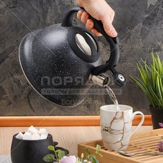 Чайник из нержавеющей стали Daniks MSY-A059 черный со свистком, 3 л