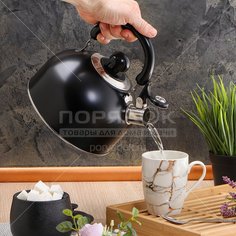Чайник из нержавеющей стали Daniks GS-04001 черный со свистком, 2.5 л