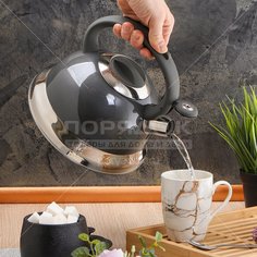 Чайник из нержавеющей стали Daniks M-015 со свистком, 3 л