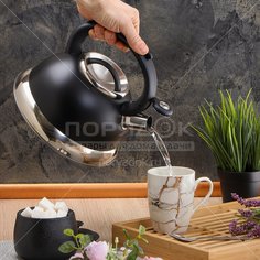 Чайник из нержавеющей стали Daniks GS-04017 со свистком, 2.5 л