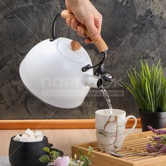 Чайник из нержавеющей стали Daniks MSY-078W со свистком, 3 л