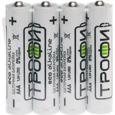 Элемент питания ТРОФИ